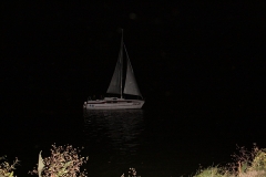 Zdjęcia udostępnione przez UMiG Śrem.