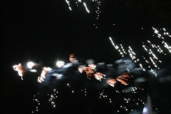 Zdjęcia udostępnione przez UMiG Śrem.