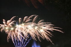 Zdjęcia udostępnione przez UMiG Śrem.