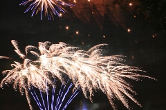 Zdjęcia udostępnione przez UMiG Śrem.