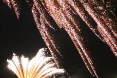 Zdjęcia udostępnione przez UMiG Śrem.