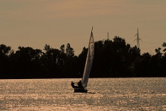 foto Michał Jaśkowiak