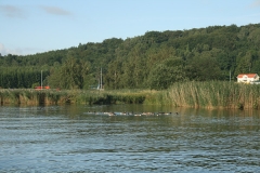 Hipolit na kanale Göta