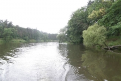 foto Marek Mikołajczak