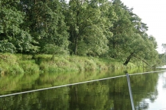 foto Marek Mikołajczak