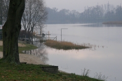 foto Marek Mikołajczak