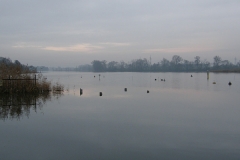 foto Marek Mikołajczak