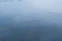 foto Marek Mikołajczak