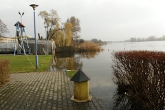foto Marek Mikołajczak