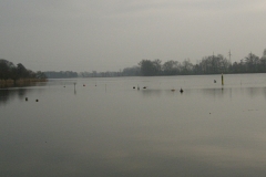 foto Marek Mikołajczak