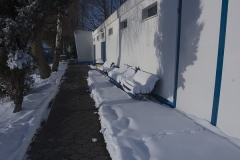 foto Tomek Kubski