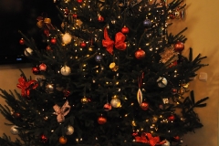 Wigilia klubowa [17.12.2010]