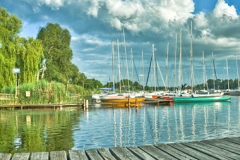 foto Tomasz Worsztynowicz