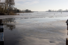 foto Tomek Kubski