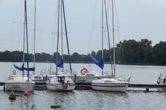 foto Zenek Szczęsny