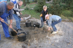 foto Marek Mikołajczak