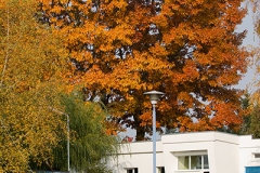 foto Marek Grześ