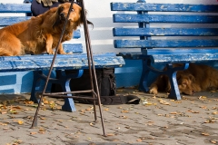 foto Marek Grześ