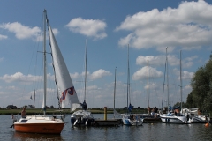 foto Michał Jędrkowiak