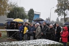 foto Włodek Matuszak