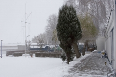 foto Tomek Kubski