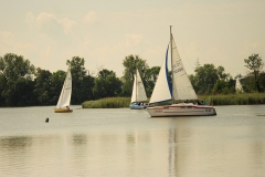foto Marek Mikołajczak