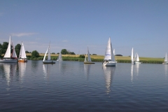 foto Anna Dankowska