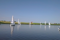 foto Anna Dankowska