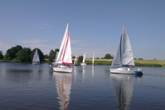 foto Anna Dankowska