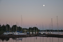 foto Włodek Matuszak