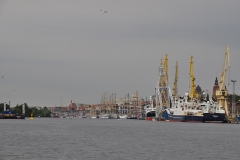 foto Włodek Matuszak