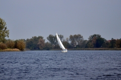 foto Arkadiusz Bąkowski