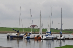 foto Włodek Matuszak
