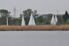 foto Włodek Matuszak