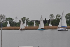 foto Włodek Matuszak