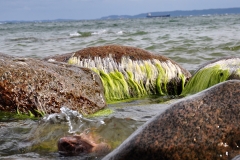 foto Włodek Matuszak