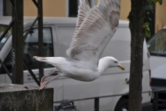 foto Włodek Matuszak