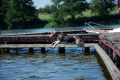 foto Arkadiusz Bąkowski