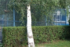foto Tomek Kubski