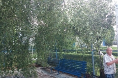 foto Tomek Kubski