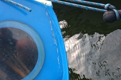 foto Tomek Kubski