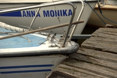 foto Tomek Kubski