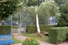 foto Tomek Kubski
