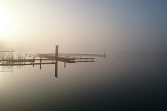 foto Tomek Kubski