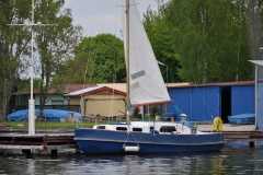 foto Włodek Matuszak