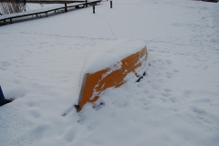 foto Marek Królikowski