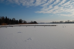 foto Marek Królikowski