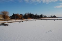 foto Marek Królikowski