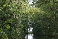 foto Julek Bąkowski