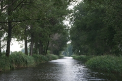 foto Julek Bąkowski